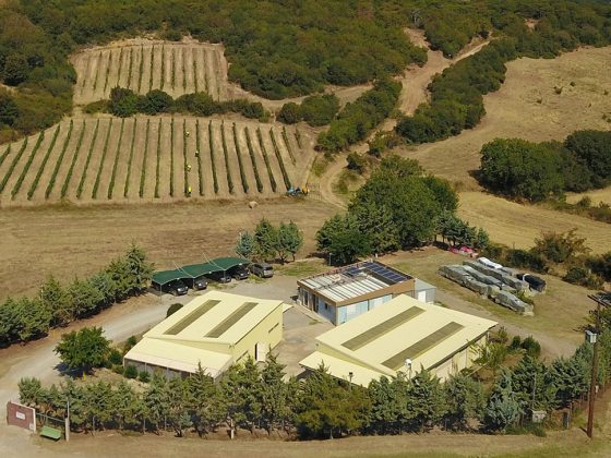 metalleia-thrakis-profil