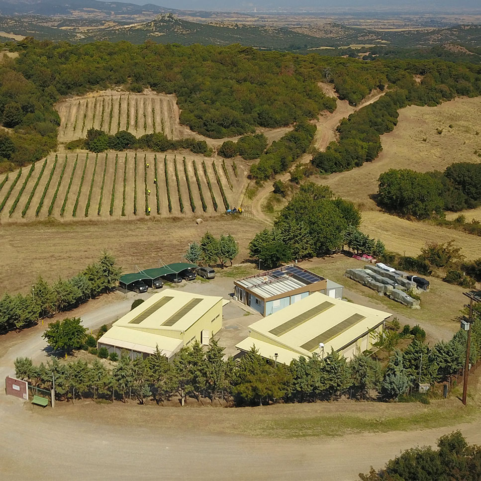 metalleia-thrakis-profil