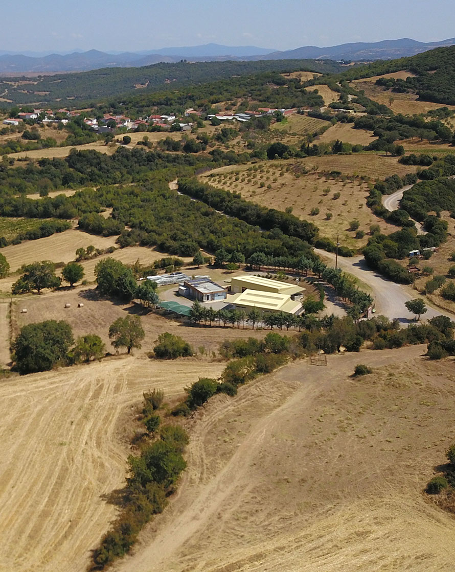 metalleia-thrakis-profil